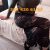 İzmirli Escort İstanbuldaa - Image 4